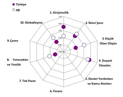  Kaynak Türkiye Kobi Yasasi, Türkiye SBA Radar Grafigi